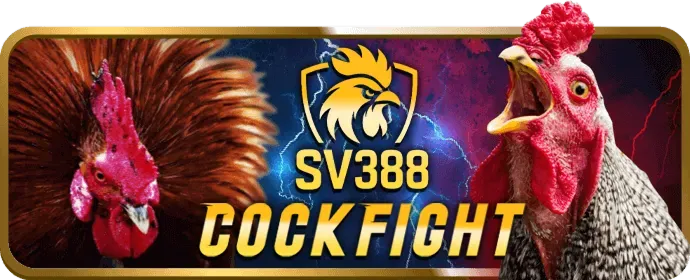 Giao diện thân thiện của 22win nhà cái